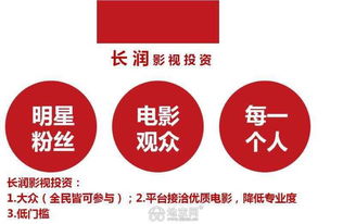 IP的分類與投資管理策略